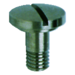 Oval Head Joint Screw