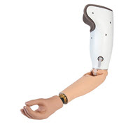 bebionic hand