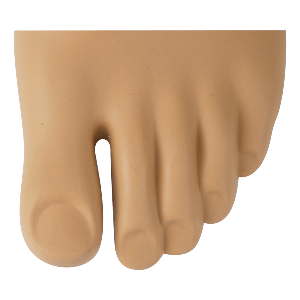 Dynamic Foot with Toes | Feet - Mechanical | Lower Limb Prosthetics ...