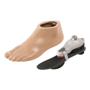 Feet - Mechanical, Lower Limb Prosthetics, Prosthetics