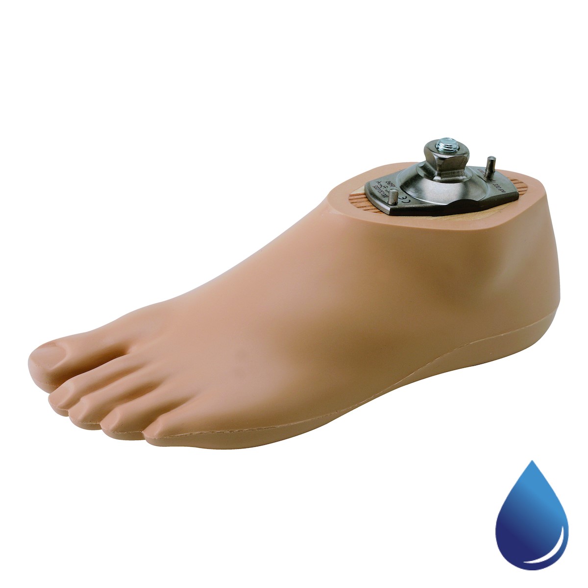 Feet - Mechanical, Lower Limb Prosthetics, Prosthetics