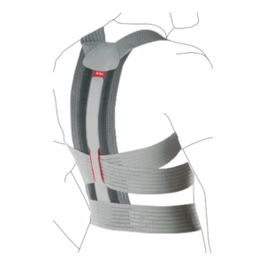 Dorso Carezza Posture, TLSO: T2-S1, Spine, Bracing & Supports, Orthotics